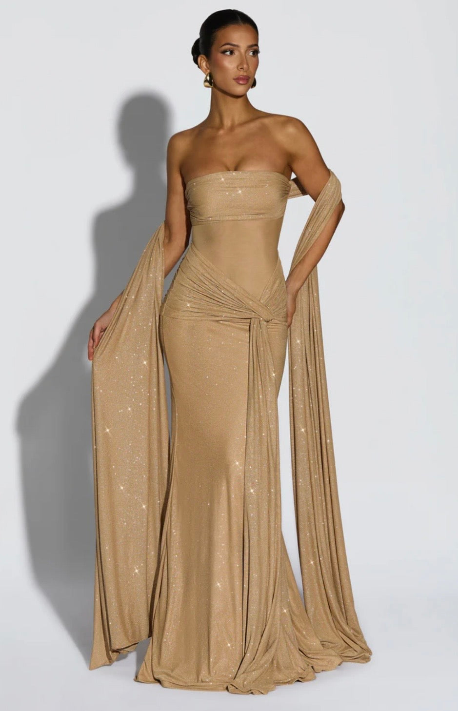 Giselle | Sculpted Silhouette Glittering Mesh Maxi Dress